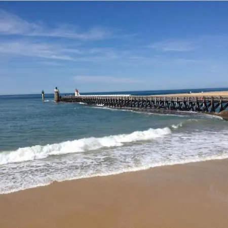 A : Port, Plages Et Commerces A Pied, Terrasse Et Parking Prive - Fr-1-239-453 *